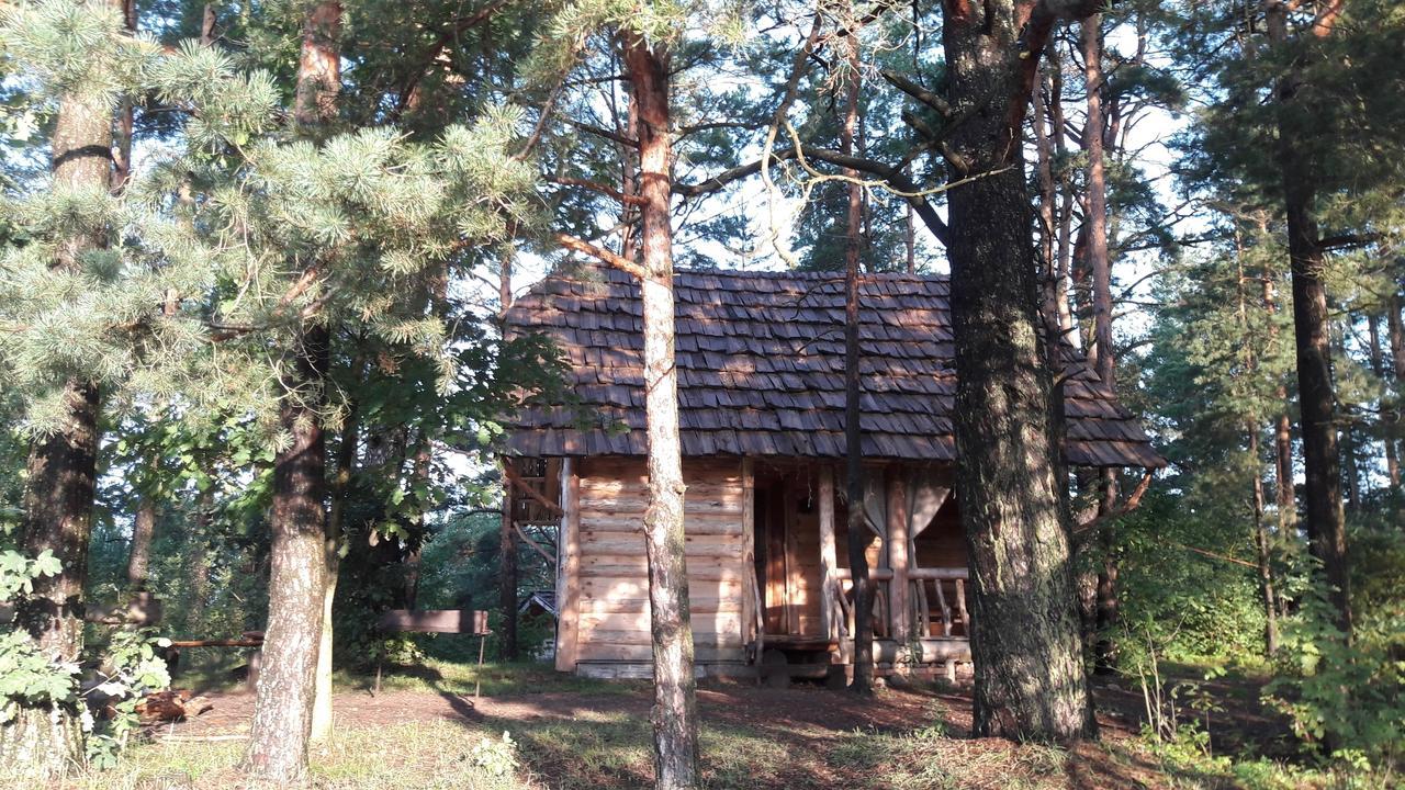 Aghrousadba Zapovednyi Ostrov Hotel Sho Kültér fotó